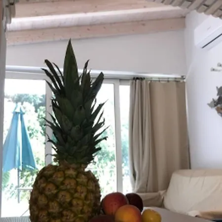 Superpanoramici In Fpo-max01-2 P1 2 Da 2 Persone Appartement *